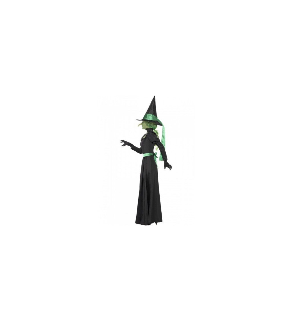 Kostým - Čarodejnica zelená