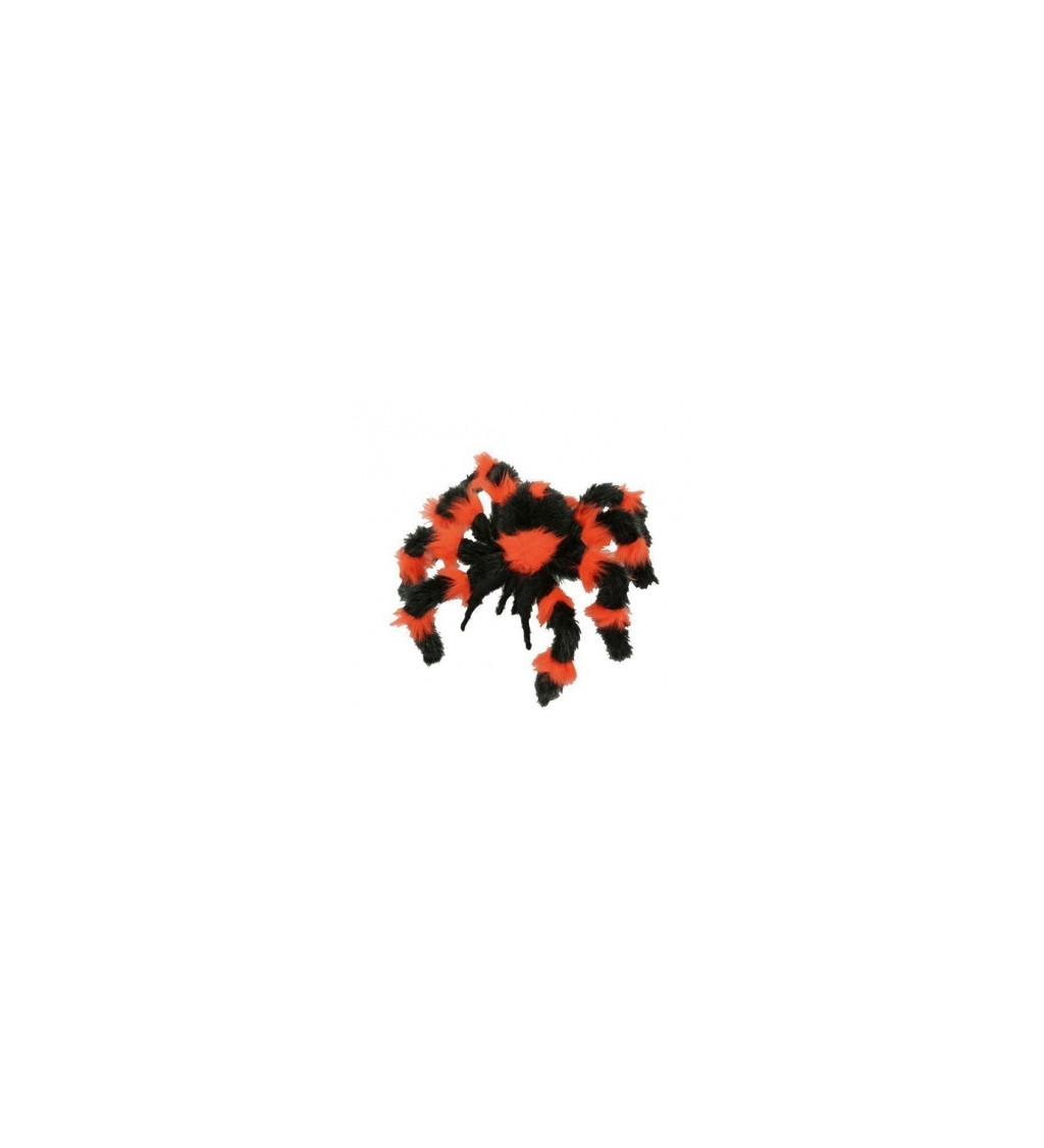 Čierno- oranžový pavúk