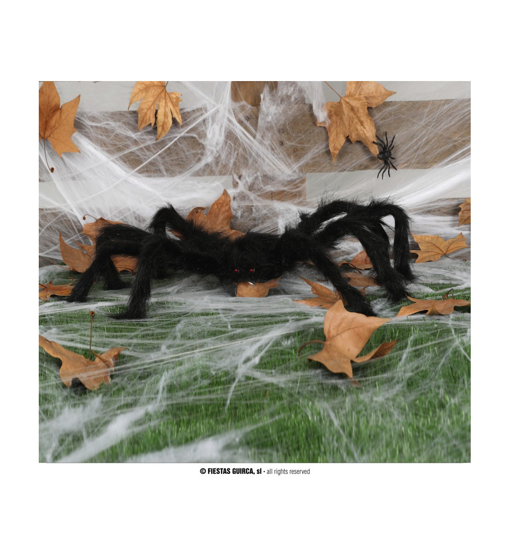 Dekorácia čierneho pavúka