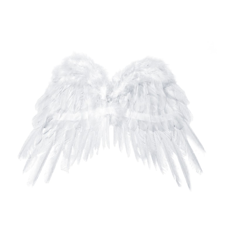 Krídla bieleho anjela III