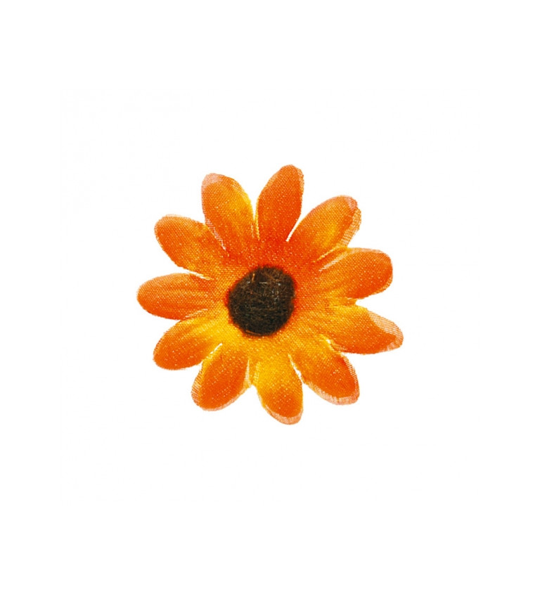 Dekoratívne kvety Margaréty - oranžové